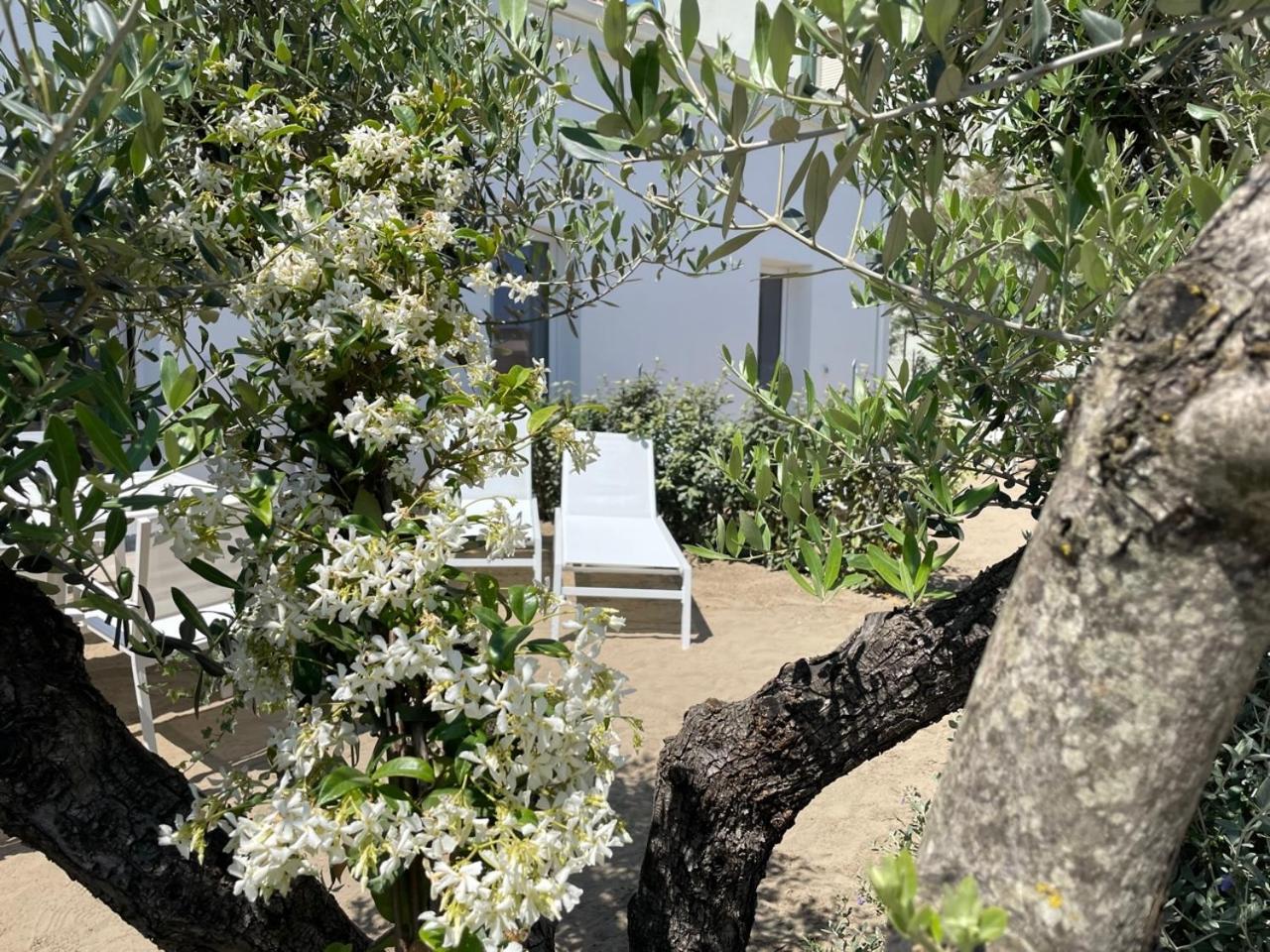 Villa Le Agavi Luxory Beach Surfhouse Bellaria-Igea Marina Exterior photo